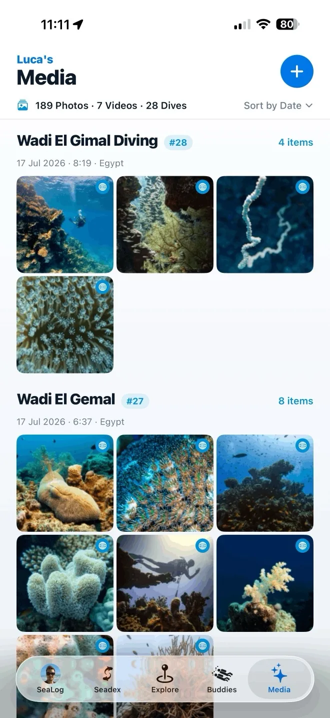 SeaLog media library grouped by dive